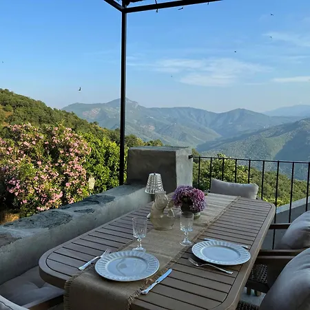 With Character In Corsica * Scolca